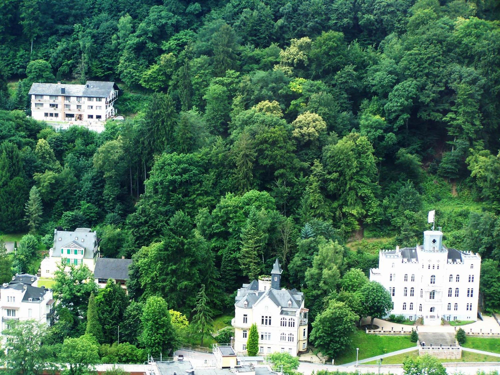Ferienwohnung "Villa Alexander" 4 Dtv-Sternen Neu Eroeffnung Bad Ems Dış mekan fotoğraf